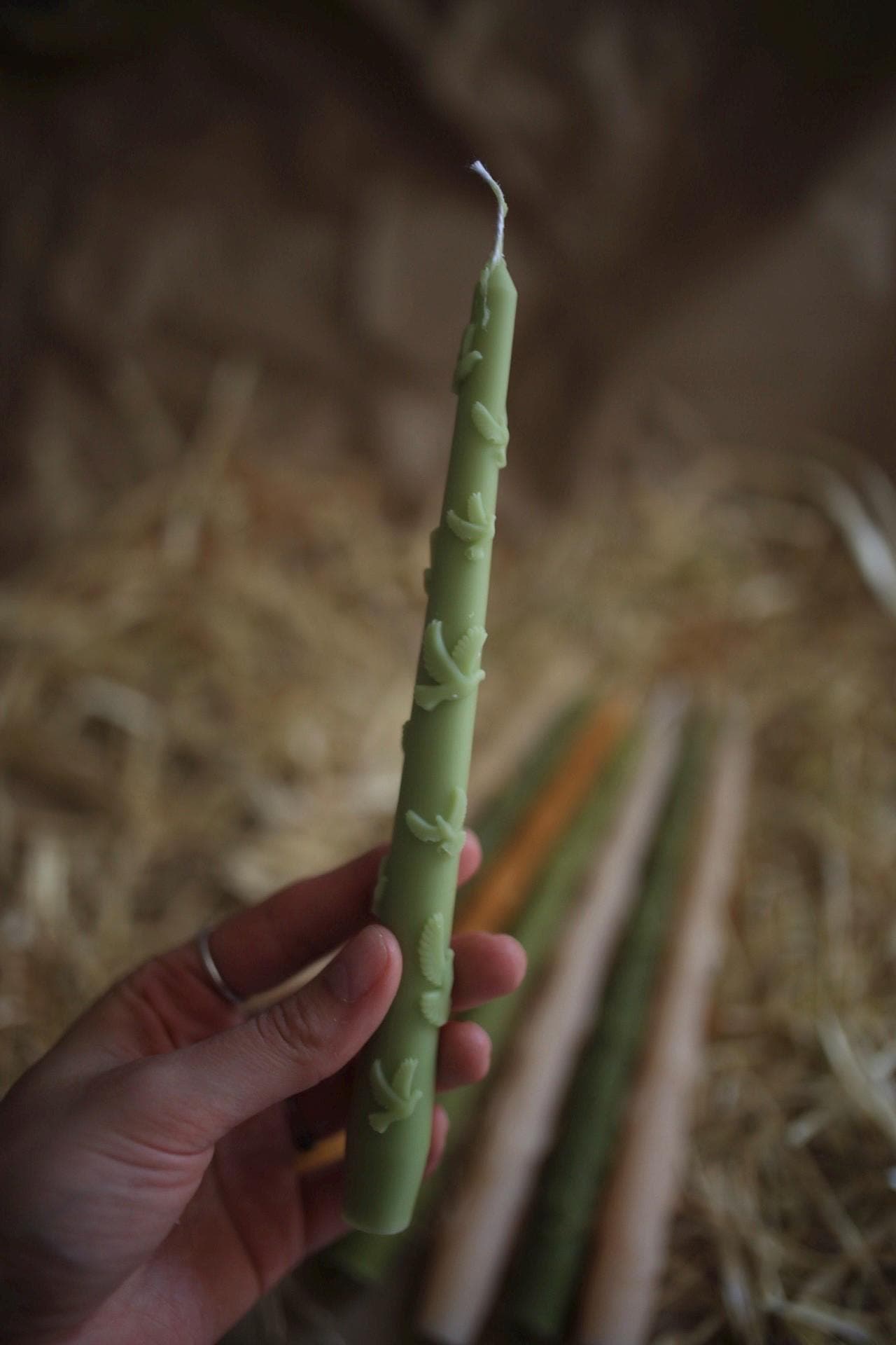 Pastel Taper Candles Set of 5 8