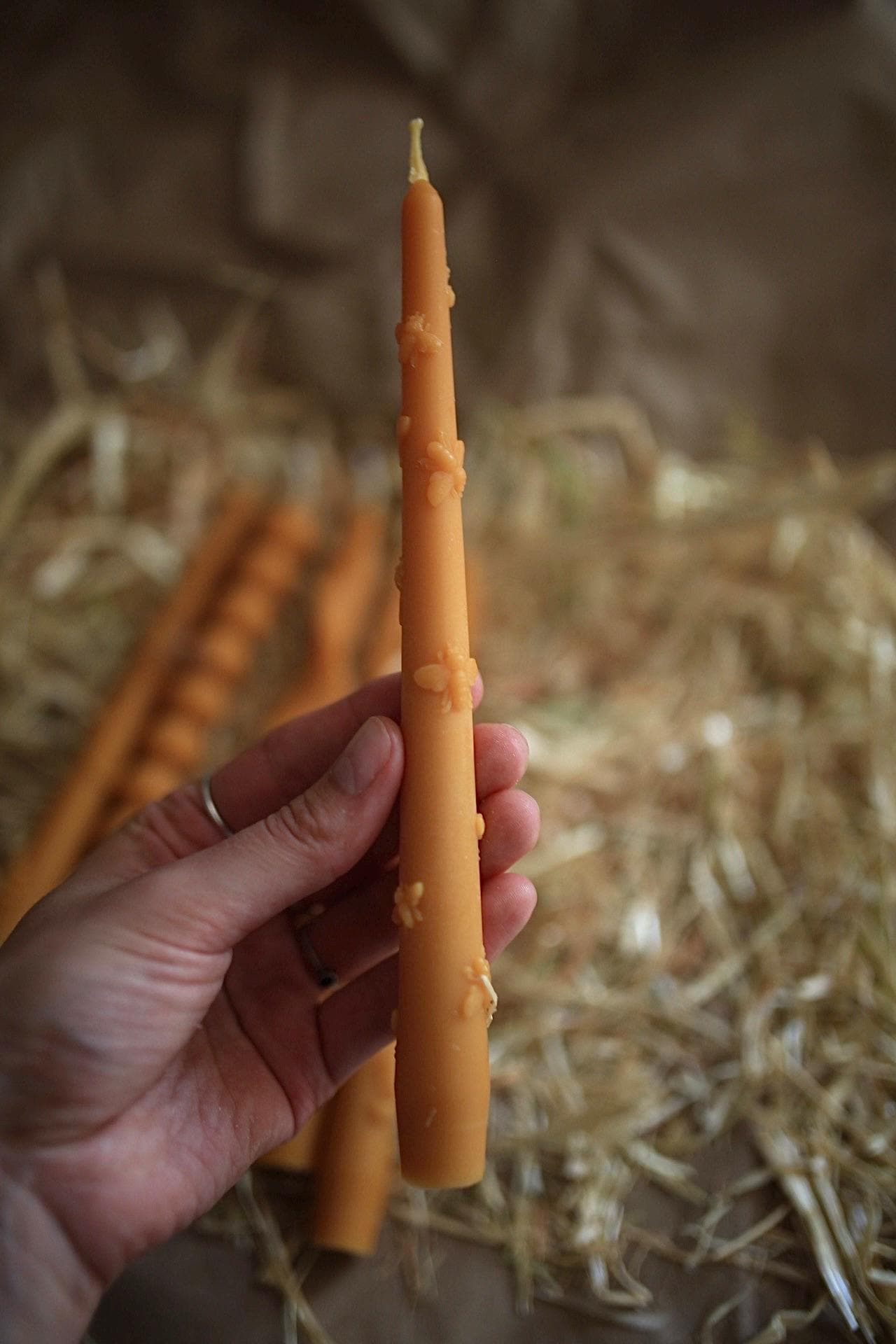 Pastel Taper Candles Set of 5 6